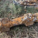 16.11.2021. Czyżów Szlachecki. Wydobycie wraku samolotu szturmowego Ił-2 / Grażyna Szlęzak-Wójcik / Radio Kielce