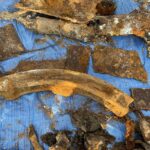 16.11.2021. Czyżów Szlachecki. Wydobycie wraku samolotu szturmowego Ił-2 / Grażyna Szlęzak-Wójcik / Radio Kielce