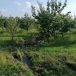 27.11.2021. Busko-Zdrój. Efekty nieistniejącego odwodnienia przy ul. Karmelowej / Marta Gajda-Kruk / Radio Kielce