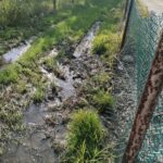 27.11.2021. Busko-Zdrój. Efekty nieistniejącego odwodnienia przy ul. Karmelowej / Marta Gajda-Kruk / Radio Kielce