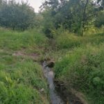 27.11.2021. Busko-Zdrój. Efekty nieistniejącego odwodnienia przy ul. Karmelowej / Marta Gajda-Kruk / Radio Kielce