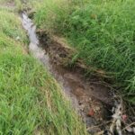 27.11.2021. Busko-Zdrój. Efekty nieistniejącego odwodnienia przy ul. Karmelowej / Marta Gajda-Kruk / Radio Kielce