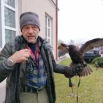 13.11.2021. Pińczów. 47. Międzynarodowe Łowy z Sokołami / Marta Gajda-Kruk / Radio Kielce