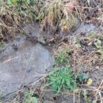 27.11.2021. Busko-Zdrój. Efekty nieistniejącego odwodnienia przy ul. Karmelowej / Marta Gajda-Kruk / Radio Kielce