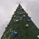 29.11.2021. Kazimierza Wielka. Choinka na Rynku / Marta Gajda / Radio Kielce