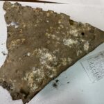 16.11.2021. Starachowice. Elementy samolotu odnalezione przez Artura Polańskiego / Anna Głąb / Radio Kielce