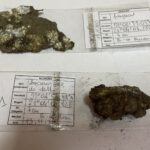 16.11.2021. Starachowice. Elementy samolotu odnalezione przez Artura Polańskiego / Anna Głąb / Radio Kielce