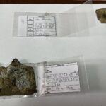 16.11.2021. Starachowice. Elementy samolotu odnalezione przez Artura Polańskiego / Anna Głąb / Radio Kielce