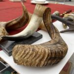 13.11.2021. Kielce. Giełda kolekcjonerska przy Wojewódzkim Domu Kultury w Kielcach / Michał Kita / Radio Kielce