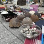 13.11.2021. Kielce. Giełda kolekcjonerska przy Wojewódzkim Domu Kultury w Kielcach / Michał Kita / Radio Kielce