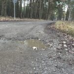 25.11.2021. Chęciny. Droga dojazdowa do Jaskini Raj / Marcin Marszałek  / Radio Kielce