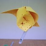 22.11.2021. Kielce. Wydział Sztuki UJK w Kielcach. Wystawa z cyklu: "Piękno użyteczne. Odsłony współczesnej sztuki wzornictwa". Anna Miarka - Rzeczy uniwersalne / Wiktor Taszłow / Radio Kielce