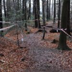 28.11.2021. Święta Katarzyna. Remont wokół kapliczki / Wiktor Taszlow / Radio Kielce