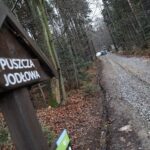 28.11.2021. Święta Katarzyna. Remont wokół kapliczki / Wiktor Taszlow / Radio Kielce