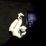 27.11.2021. Chęciny. Nocne zwiedzanie zamku / Wiktor Taszłow / Radio Kielce