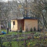 14.11.2021. Kielce. Rodzinny Ogród Działkowy „Malina” / Wiktor Taszłow / Radio Kielce