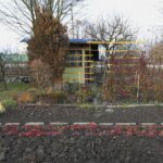 14.11.2021. Kielce. Rodzinny Ogród Działkowy „Malina” / Wiktor Taszłow / Radio Kielce