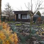 14.11.2021. Kielce. Rodzinny Ogród Działkowy „Malina” / Wiktor Taszłow / Radio Kielce