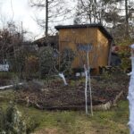 14.11.2021. Kielce. Rodzinny Ogród Działkowy „Malina” / Wiktor Taszłow / Radio Kielce