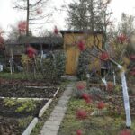 14.11.2021. Kielce. Rodzinny Ogród Działkowy „Malina” / Wiktor Taszłow / Radio Kielce