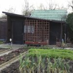 14.11.2021. Kielce. Rodzinny Ogród Działkowy „Malina” / Wiktor Taszłow / Radio Kielce