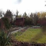 14.11.2021. Kielce. Rodzinny Ogród Działkowy „Malina” / Wiktor Taszłow / Radio Kielce