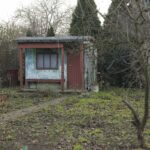 14.11.2021. Kielce. Rodzinny Ogród Działkowy „Malina” / Wiktor Taszłow / Radio Kielce