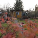 Jesienne porządki. Jak przygotować ogród przed zimą?