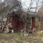 14.11.2021. Kielce. Rodzinny Ogród Działkowy „Malina” / Wiktor Taszłow / Radio Kielce