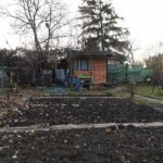 14.11.2021. Kielce. Rodzinny Ogród Działkowy „Malina” / Wiktor Taszłow / Radio Kielce