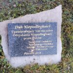 11.11.2021. Pińczów. Obchody 103. rocznicy odzyskania przez Polskę niepodległości / Marta Gajda-Kruk / Radio Kielce