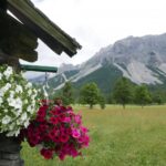 Austria / Danuta Rasała / archiwum prywatne