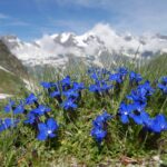 Austria / Danuta Rasała / archiwum prywatne