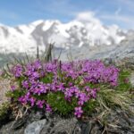 Austria / Danuta Rasała / archiwum prywatne