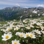 Austria / Danuta Rasała / archiwum prywatne