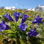 Austria / Danuta Rasała / archiwum prywatne