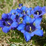 Austria / Danuta Rasała / archiwum prywatne