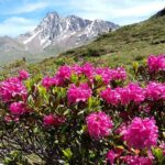 Austria / Danuta Rasała / archiwum prywatne