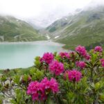 Austria / Danuta Rasała / archiwum prywatne