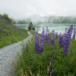 Austria / Danuta Rasała / archiwum prywatne