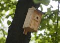 W gminie Koprzywnica przybyło domów dla ptaków