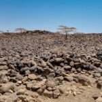 Północna Kenia / Mirosław Lubarski