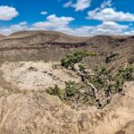 Północna Kenia / Mirosław Lubarski