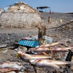 Północna Kenia / Mirosław Lubarski