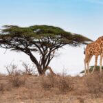 Północna Kenia / Mirosław Lubarski