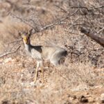 Północna Kenia / Mirosław Lubarski