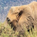 Północna Kenia / Mirosław Lubarski