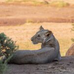 Północna Kenia / Mirosław Lubarski