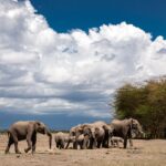 Północna Kenia / Mirosław Lubarski