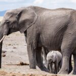 Północna Kenia / Mirosław Lubarski